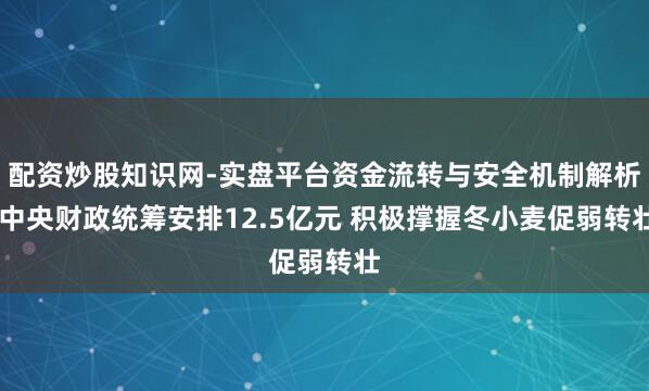 配资炒股知识网-实盘平台资金流转与安全机制解析 中央财政统筹安排12.5亿元 积极撑握冬小麦促弱转壮