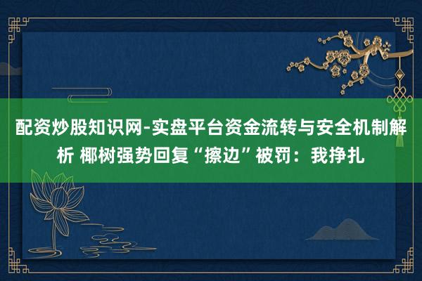 配资炒股知识网-实盘平台资金流转与安全机制解析 椰树强势回复“擦边”被罚：我挣扎