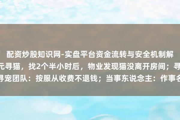 配资炒股知识网-实盘平台资金流转与安全机制解析 上海女子花8800元寻猫，找2个半小时后，物业发现猫没离开房间；寻宠团队：按服从收费不退钱；当事东说念主：作事名不副实，已报警并准备告状