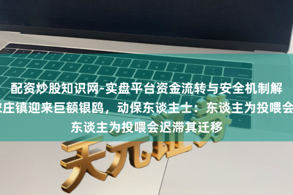 配资炒股知识网-实盘平台资金流转与安全机制解析 通州区宋庄镇迎来巨额银鸥，动保东谈主士：东谈主为投喂会迟滞其迁移