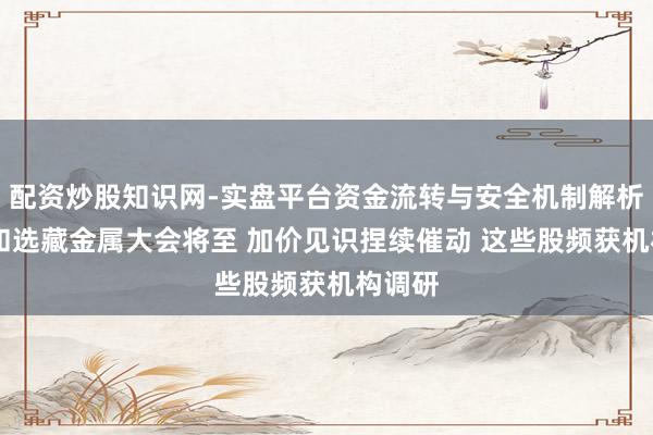 配资炒股知识网-实盘平台资金流转与安全机制解析 稀土和选藏金属大会将至 加价见识捏续催动 这些股频获机构调研